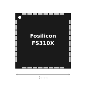 FS3101